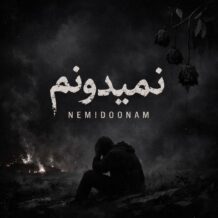 آهنگ جدید تاکسیک به نام نمیدونم